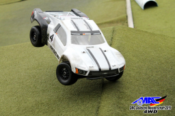 2015 DM 4WD Buggy 4WD Juni